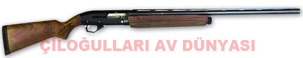 MP-155 Semi-Automatic Gun